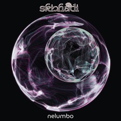 nelumbo