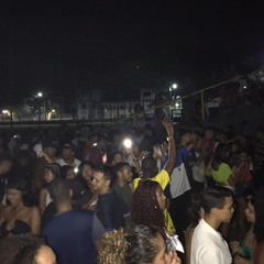 PASSARINHO QUE SOM É ESSE - ( (( CAUÃZIN DO CG )) )