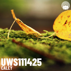 UWS111425 - Caley