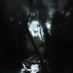 inthemom3ntトワイライト.