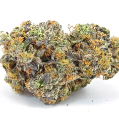 freestyle: LIL ROBBIE x DCU ft kr8m