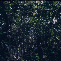 Alú.mp3