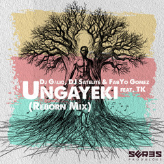 Ungayeki (Reborn Mix) [feat. TK.]
