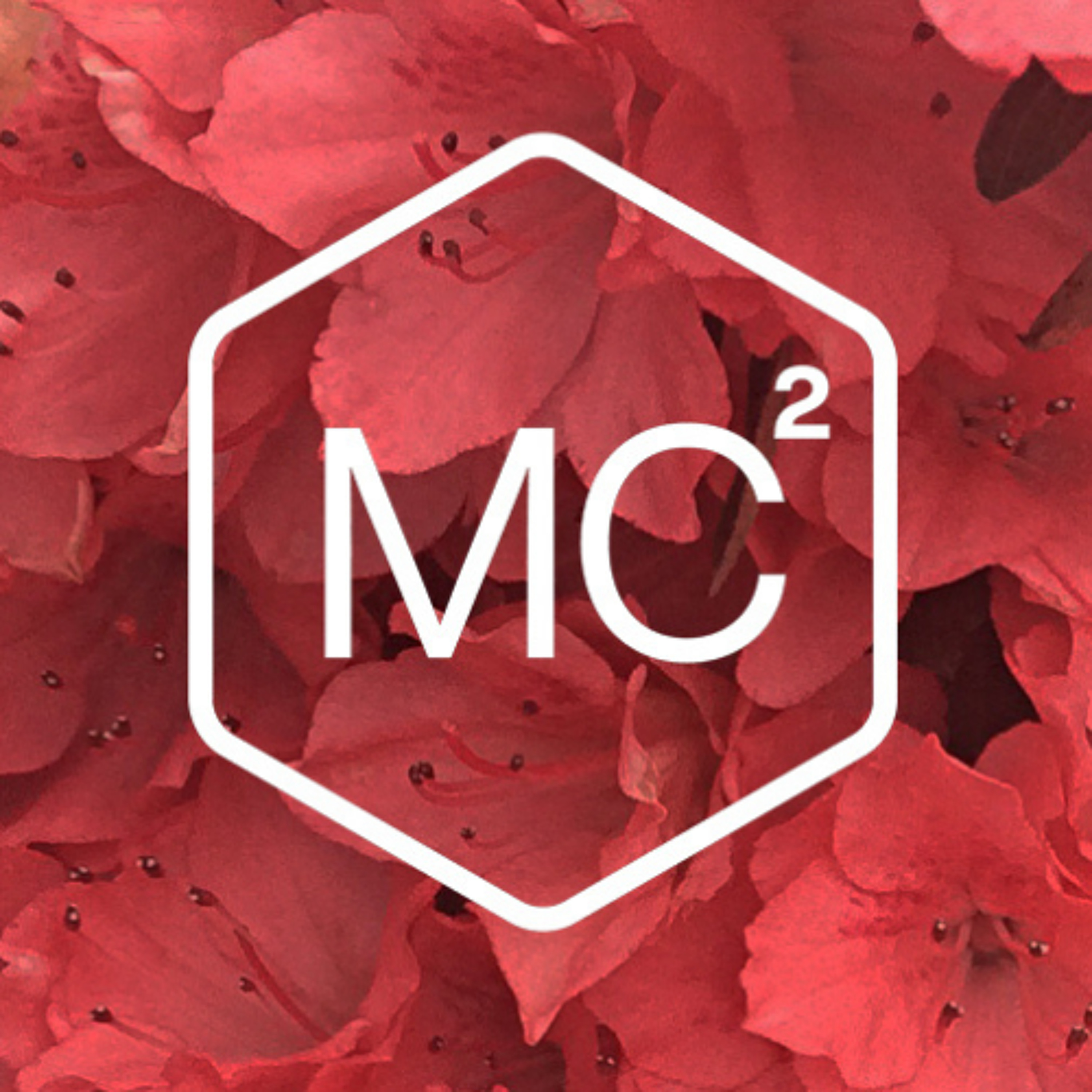 536. A 13-Minute Guided Meditation for Cultivating Gratitude During Difficult Times episode artwork