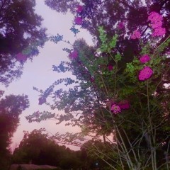 🤎🌻
