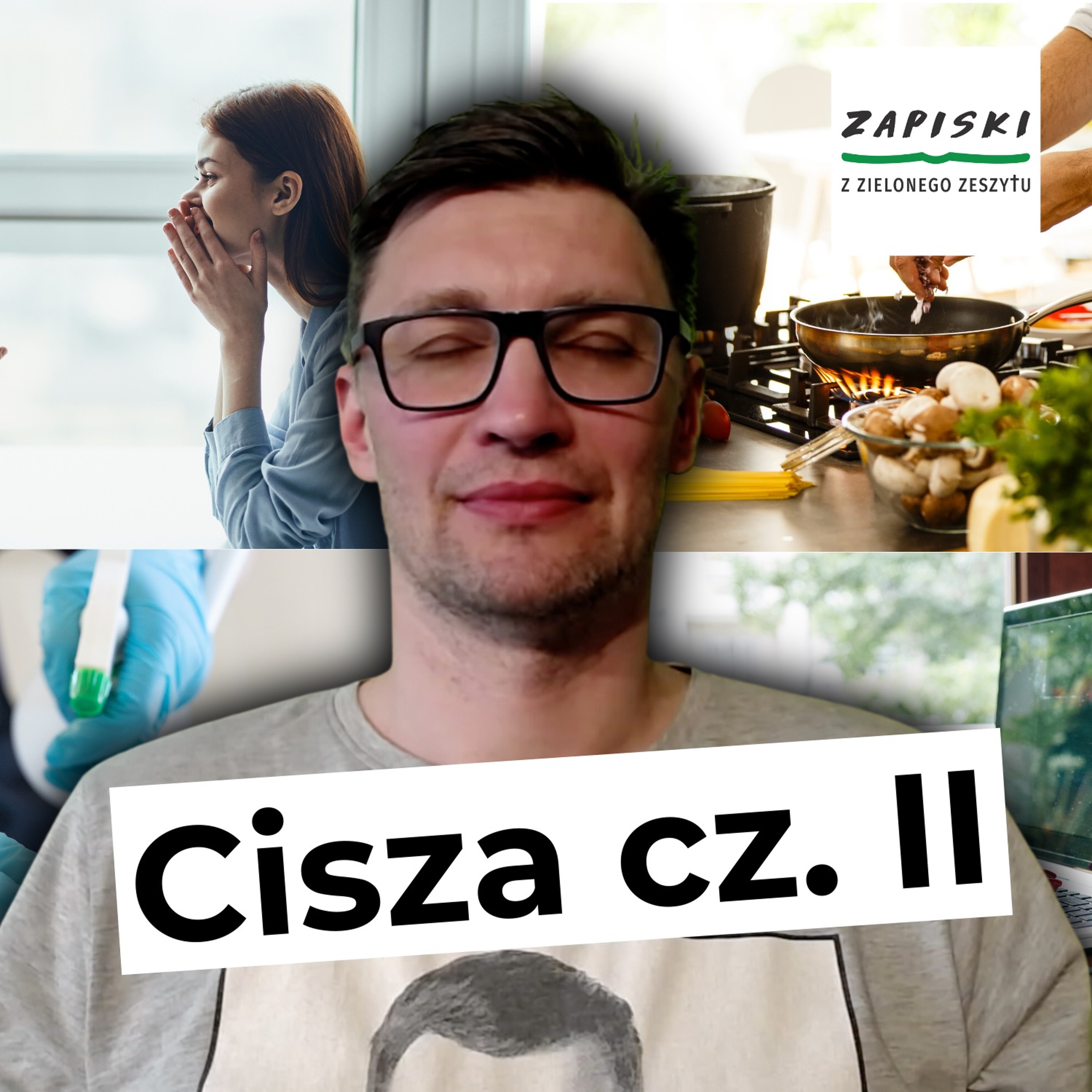 Zapiski z zielonego zeszytu