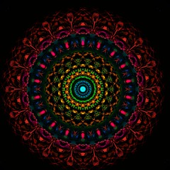 The Dragonfly Ishmael Talked about