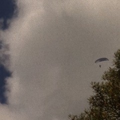 (été dernier oups)