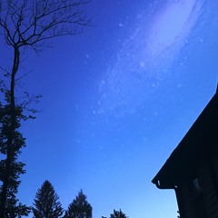 What Will We Miss? - Remastered Version