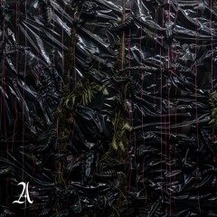 AR017 Piante Vive - Aphid Midge (Antonio Ruscito Remix)