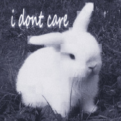 I Don't Care
