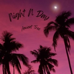 Night N Day