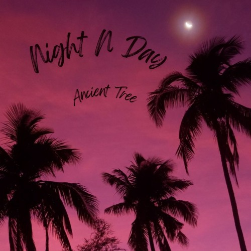 Night N Day