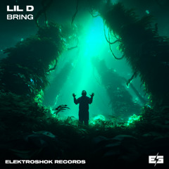 Lil D - Bring