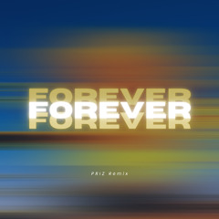 Chris Brown - Forever (PRIZ Remix)