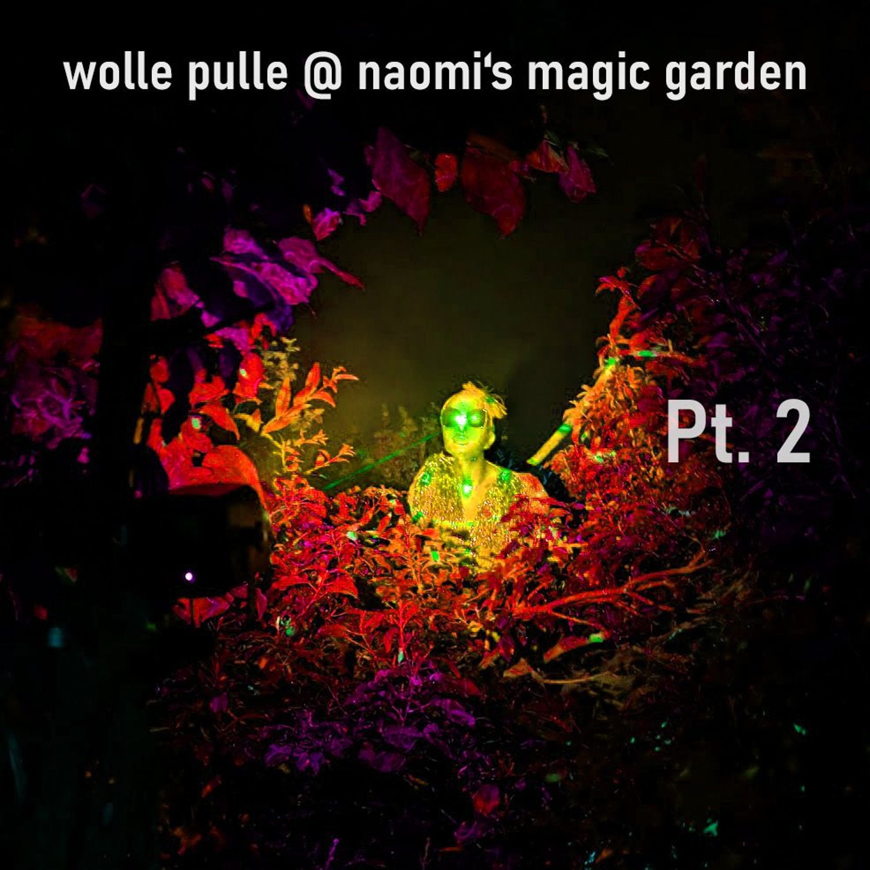 Wolles Musik