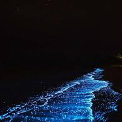 Basti Zood Bareto.m4a