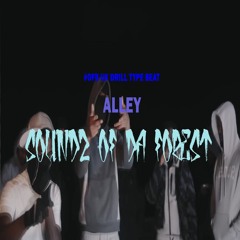 [FREE] #OFB Dark Vocal UK Drill Type Beat 2024-ALLEY (Prod. by Soundz Of Da Forest) 145 bpm F min