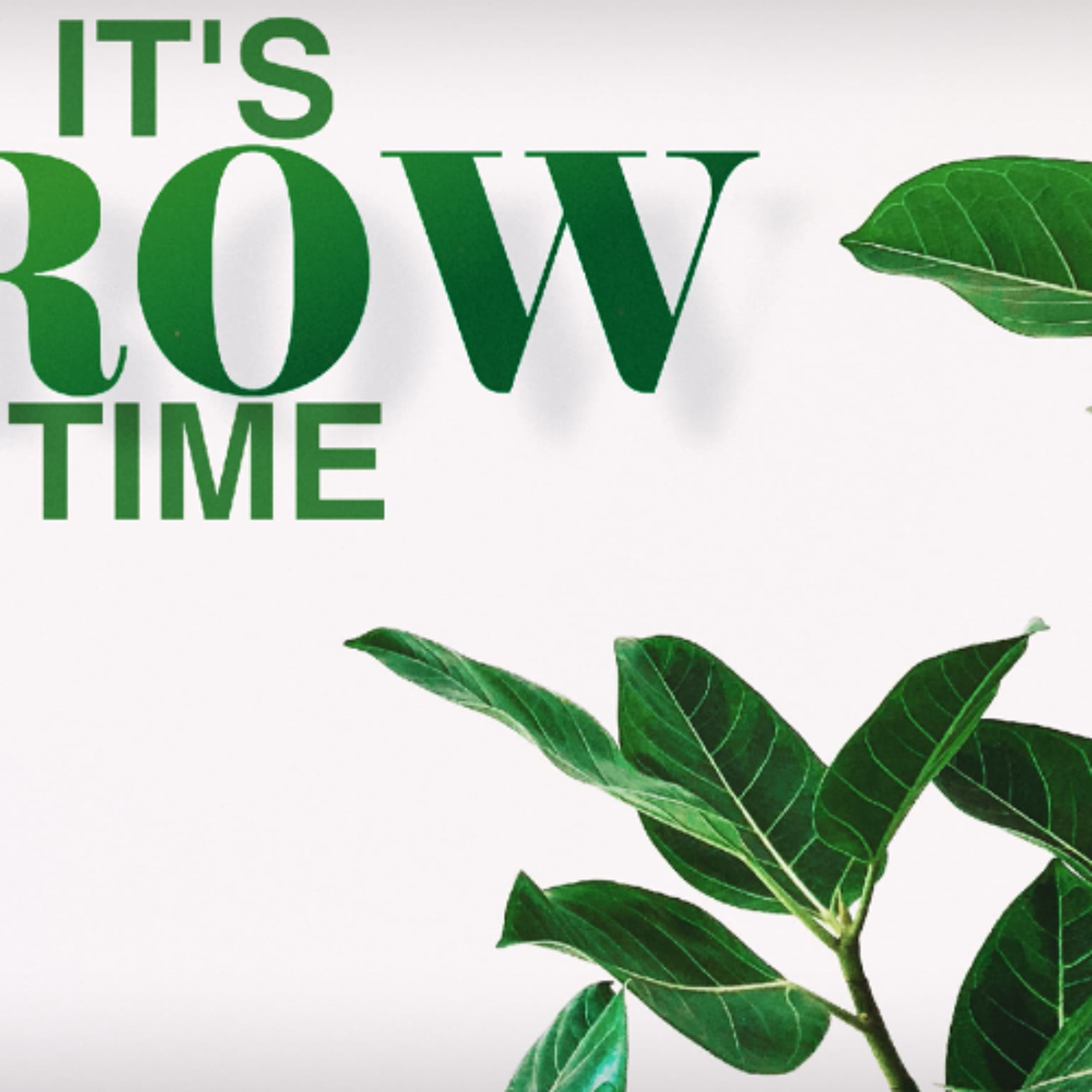23.6.24 - It's Grow Time episode artwork