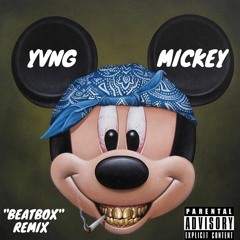 SPOTEMGOTTEM BeatBox 2 (Mickey Remix)