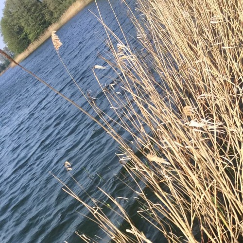 PERFECT DAY (bootleg)150Bpm