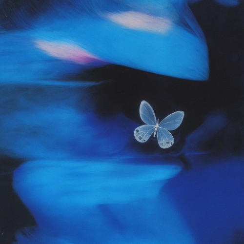 Catch 22 - Connor Pearcey