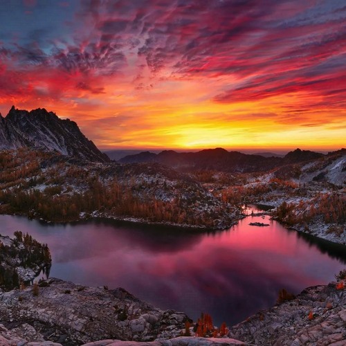 Stream audio background process (FREE DOWNLOAD) by more music | Listen ...