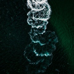 SANAE TFS Kraken's Call 2.25 / Submerged / BushTech / Prog