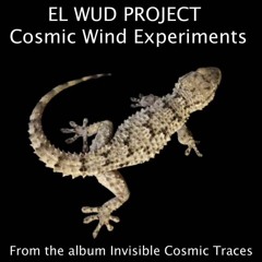 Cosmic Wind Experiments
