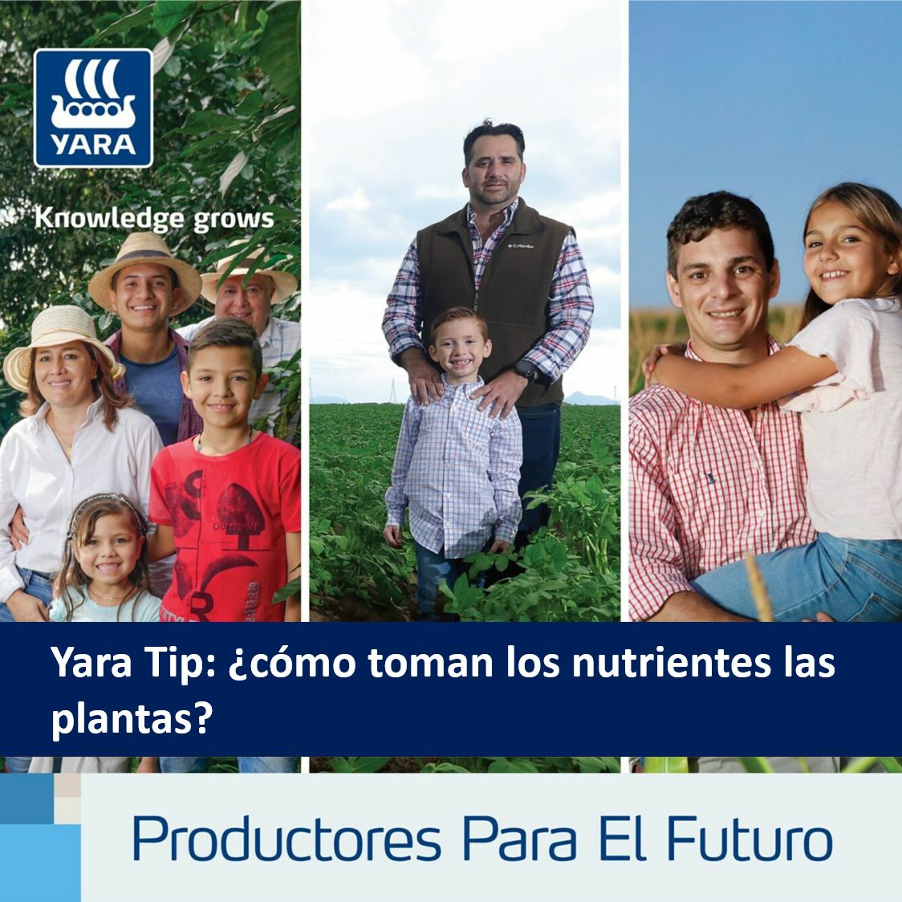 Productores Para El Futuro