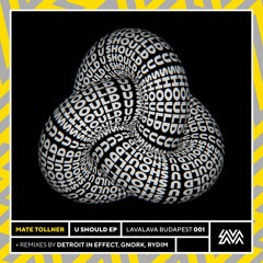 Mate Tollner - U Should (Detroit In Effect Remix)  [LavaLava Budapest 001]