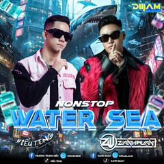 NST - WATER SEA 2024 - HIEU TENG FT DANH QUÂN MIX