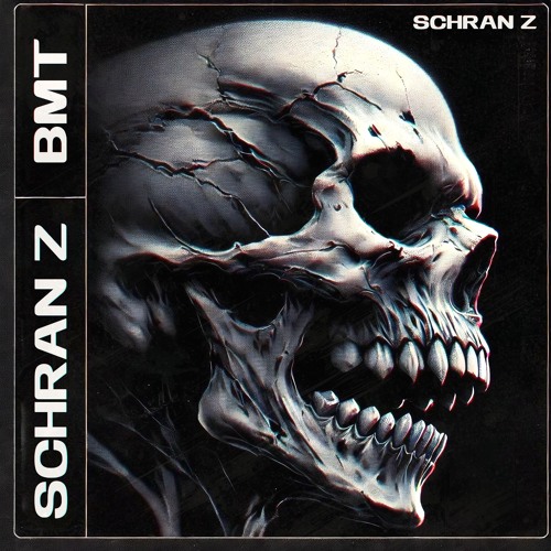 Schran Z [FREE DL]