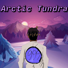 Juice WRLD - Arctic Tundra