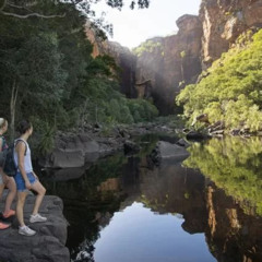 Best Kakadu Fullday Tour From Darwin With Lunch Tours Review