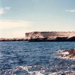 spirit of 1986