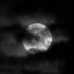 Moonlight (Remix EP) Showcase