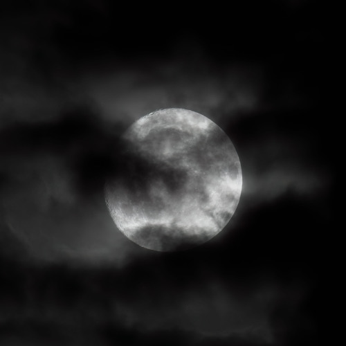 Moonlight (Remix EP) Showcase