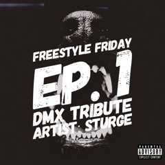 Freestyle Friday Ep.1 (Feat. Sturge)