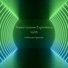 Trance Groove Experience Vol.13