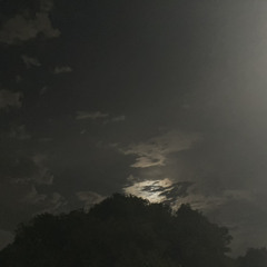 frozen in snow life keeps on going⛄️