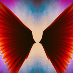 My Wings