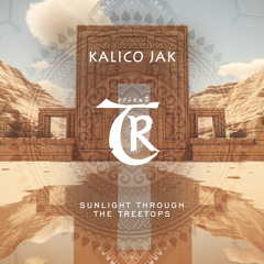 𝐏𝐑𝐄𝐌𝐈𝐄𝐑𝐄: Kalico Jak - Across the Sands feat. Scott Beetley [Tibetania Orient]