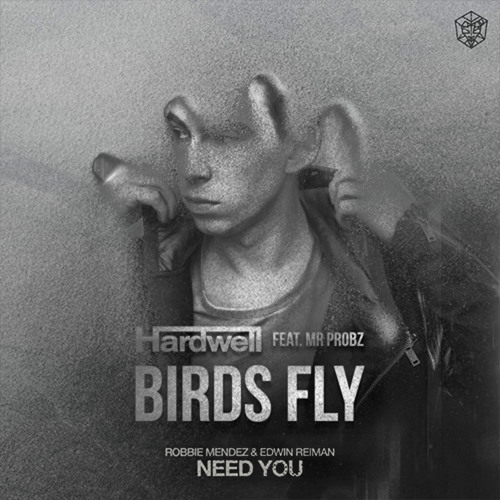 Hardwell ft. Mr. Probz x Robbie Mendez & Edwin Reiman - Birds Fly x Need You (Adem Scenn MashUp)