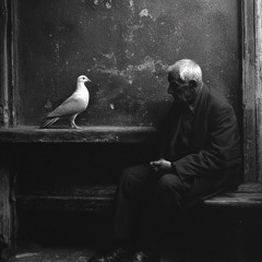 Eight Days A Week (Beatles cover at the Shark Park)