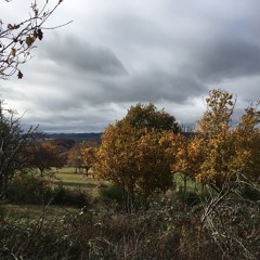 C'est là que je suis né