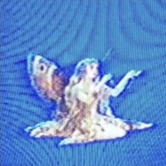 final v1 making mistakes