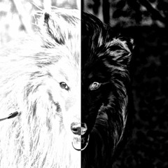 Komm Auf Den Hund! *Weihnachts-Edition*