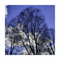 Anomalies