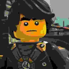 Coal